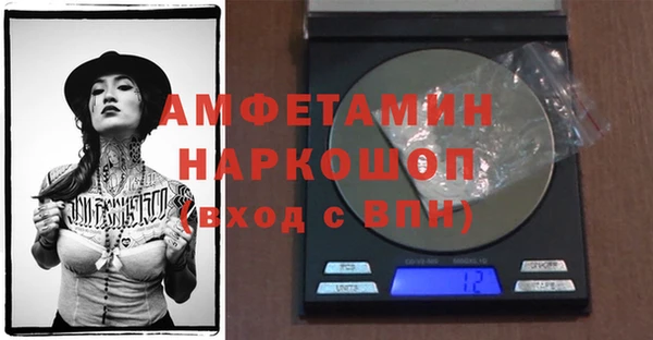 дживик Бородино
