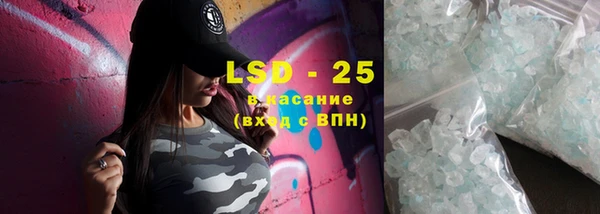 дживик Бородино