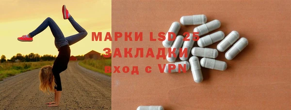 дживик Бородино