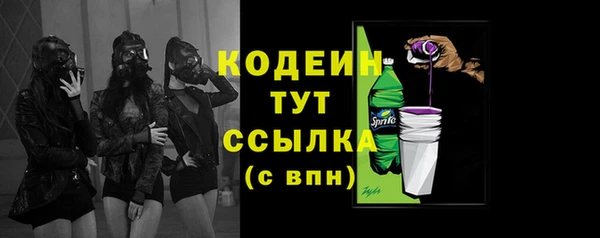 дживик Бородино