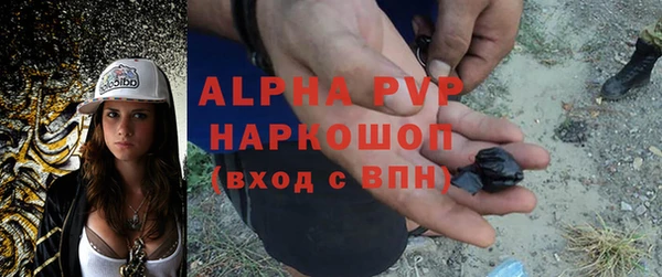дживик Бородино