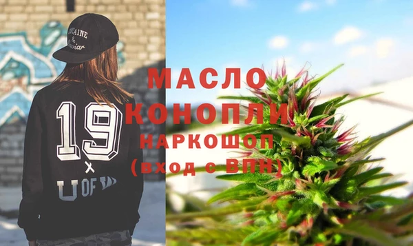 дживик Бородино