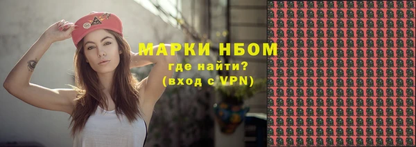 дживик Бородино