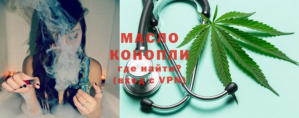 дживик Бородино