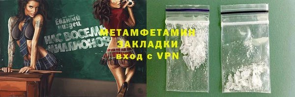 шишки Каменногорск