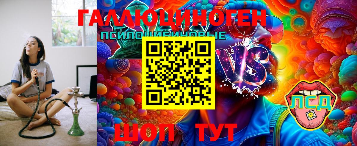 Галлюциногенные грибы Cubensis  Вход с VPN  Можайск  Псилоцибиновые грибы Psilocybine cubensis 